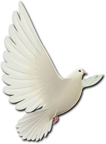 dove